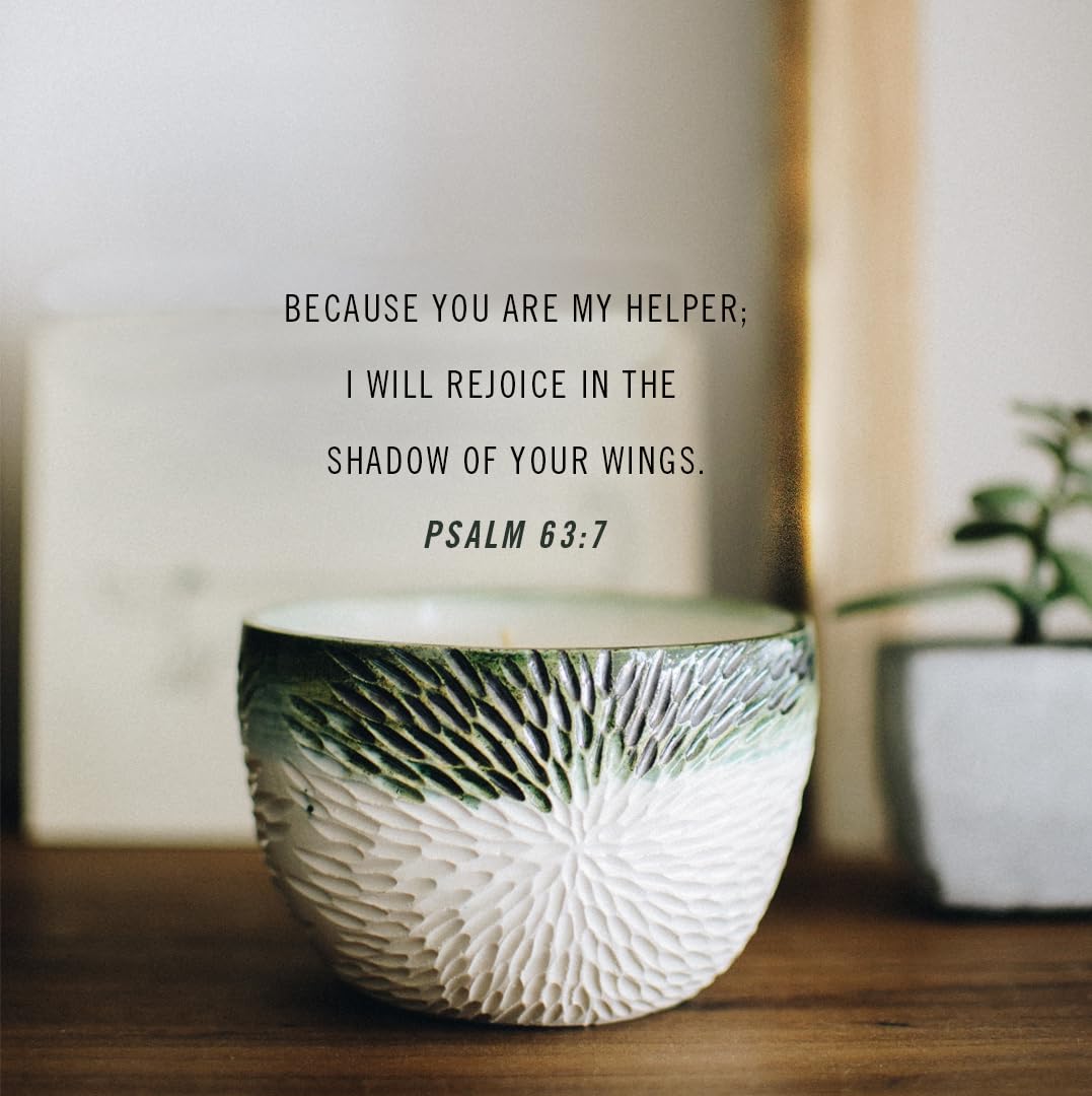 Jesus and Women Bible Study Book with Video Access
