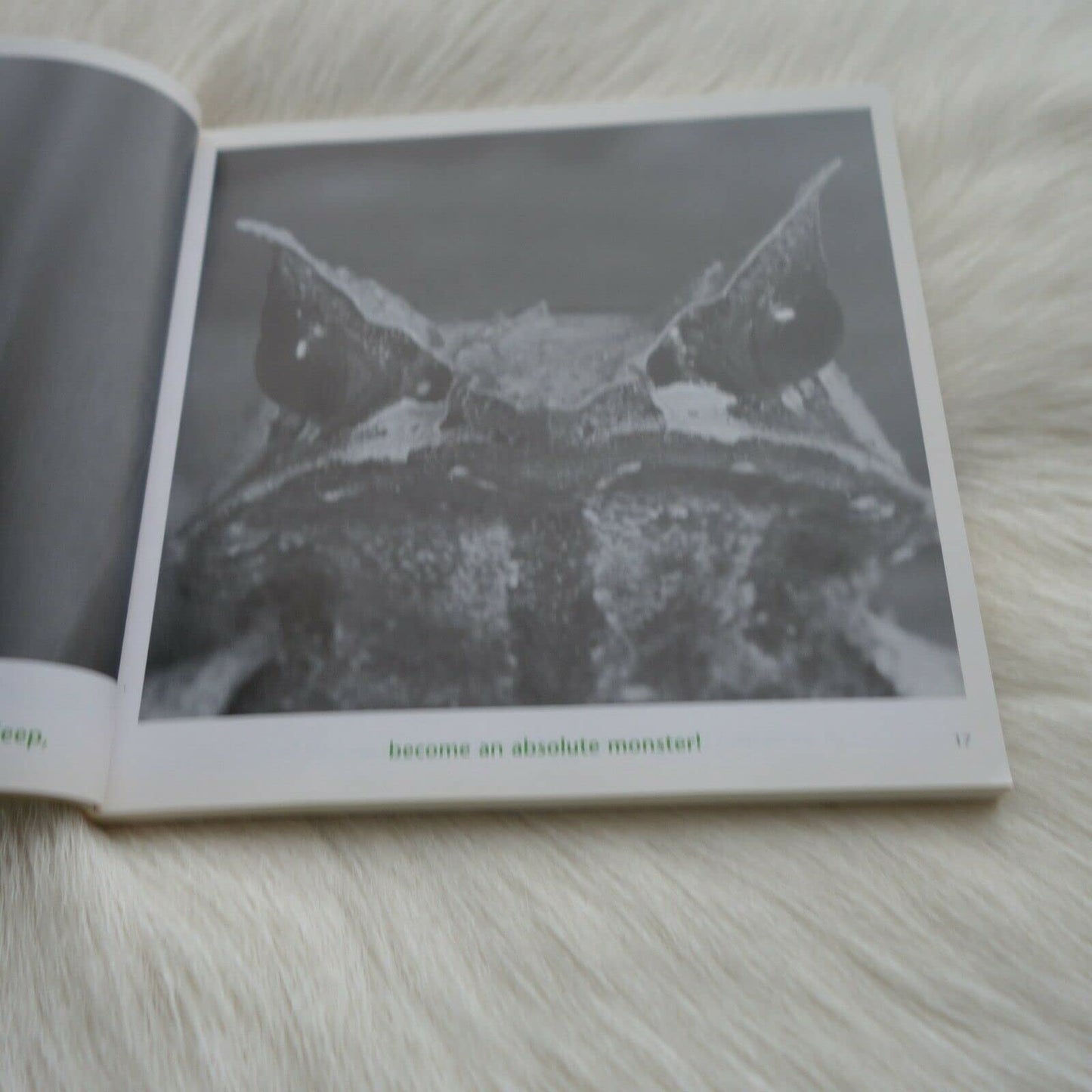 THE BOOK FOR PEOPLE WHO DO TOO MUCH [Paperback]