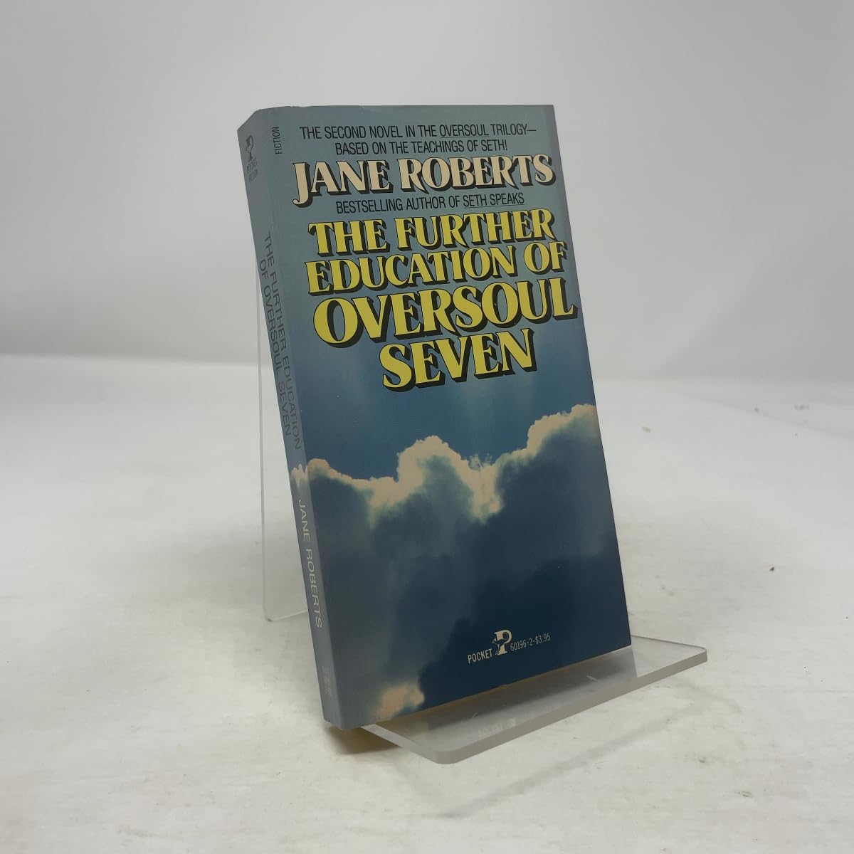 The Further Education of Oversoul Seven Roberts, Jane