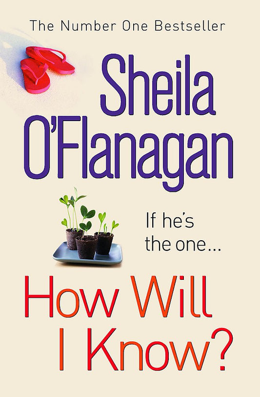 How Will I Know?: A life-affirming read of love, loss and letting go O'Flanagan, Sheila