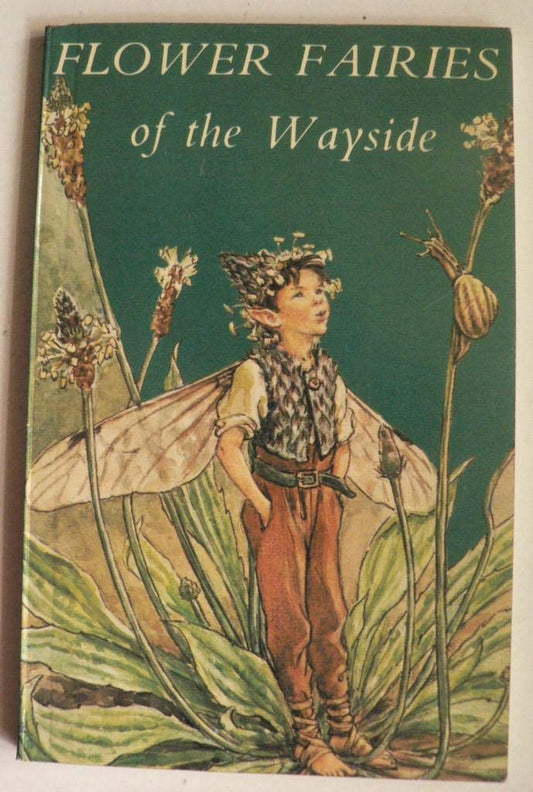 Flower Fairies of the Wayside Barker, Cicely Mary