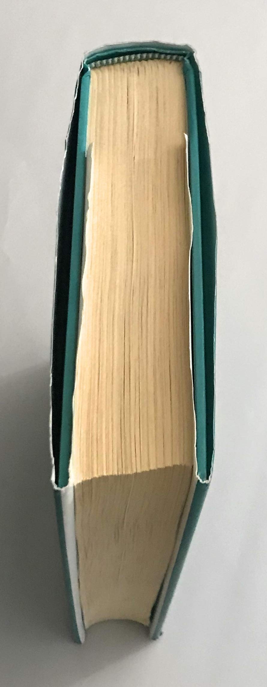 JESUS THE MAN, a new interpretation from the Dead Sea Scrolls [Hardcover]