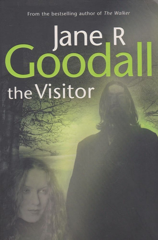 The Visitor [Paperback]