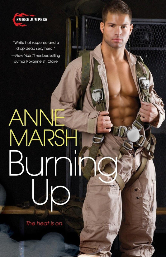 Burning Up [Paperback] Marsh, Ann