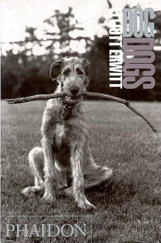 DogDogs [Paperback] Wodehouse, P G