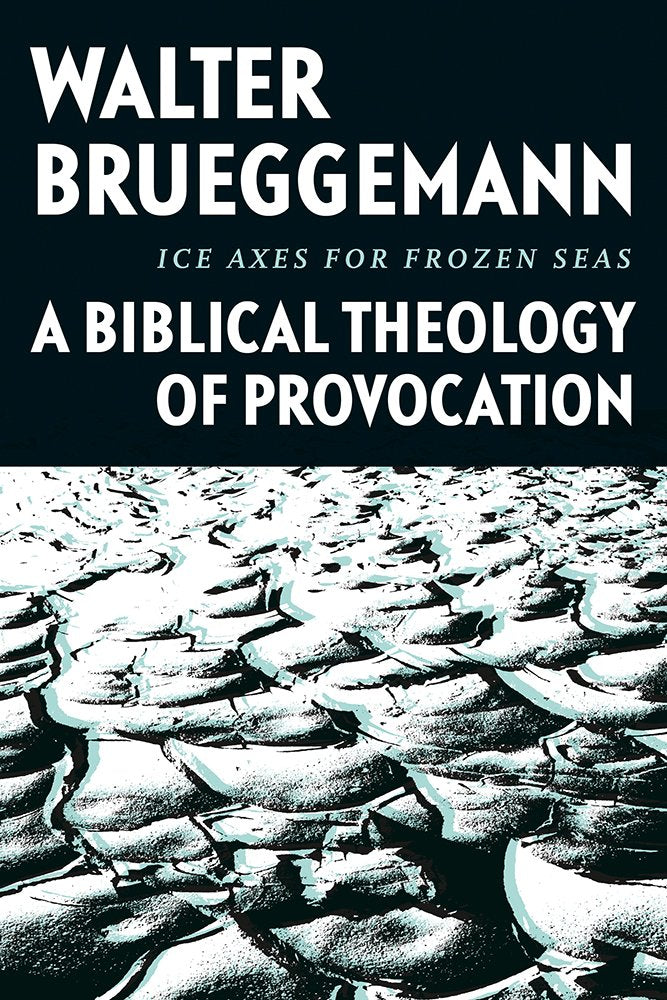 Ice Axes for Frozen Seas: A Biblical Theology of Provocation [Hardcover] Brueggemann, William Marcellus McPheeters Professor of Old Testament Emeritus Walter and Hankins, Davis