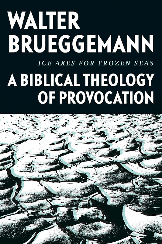 Ice Axes for Frozen Seas: A Biblical Theology of Provocation [Hardcover] Brueggemann, William Marcellus McPheeters Professor of Old Testament Emeritus Walter and Hankins, Davis