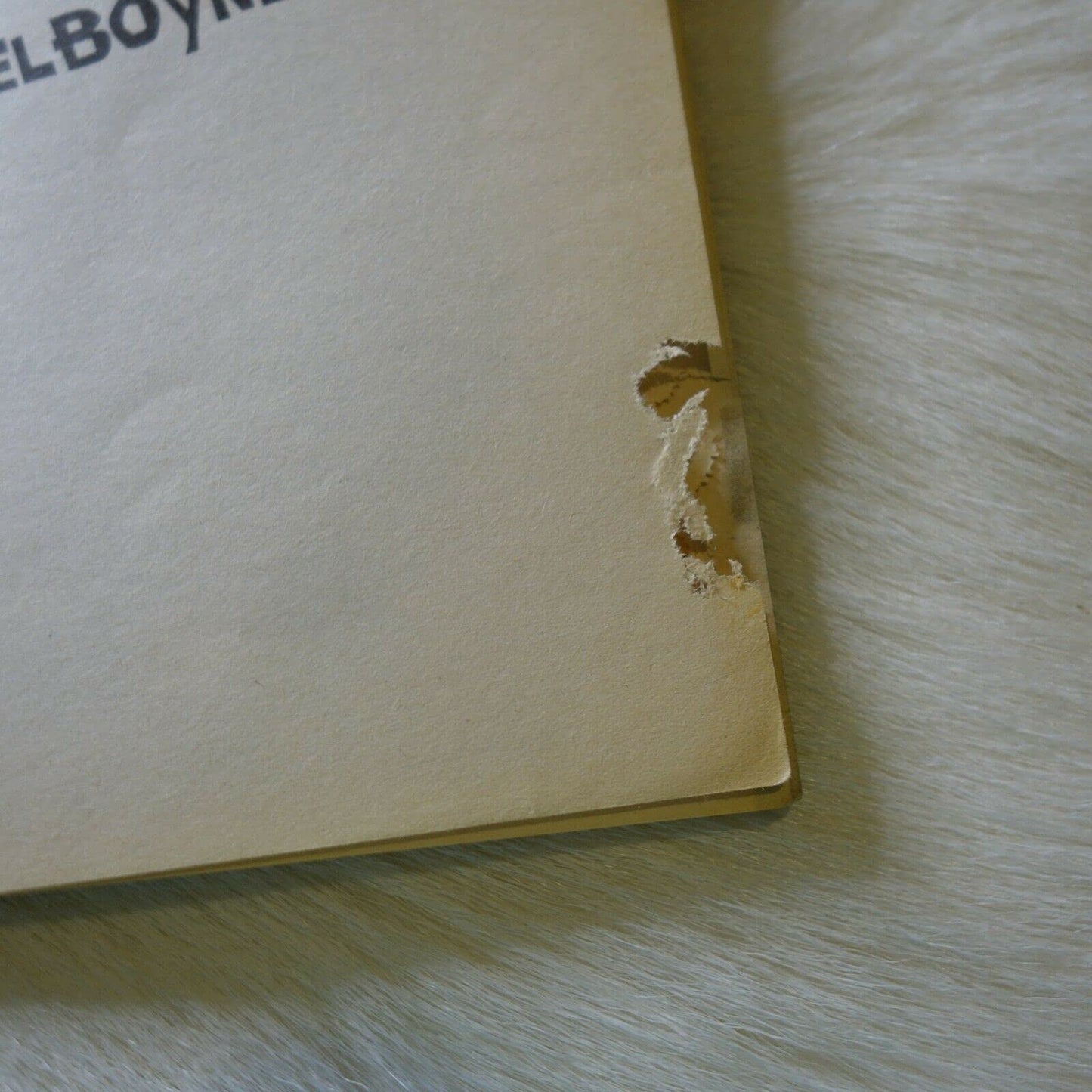 The Krelboyne Parrot Pollack, Pamela and Belviso, Meg