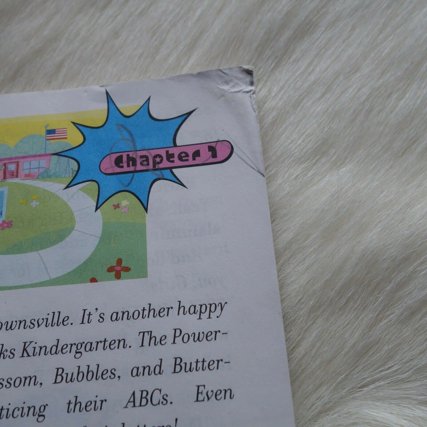 Chapter Book: 4 Rogers, Amy