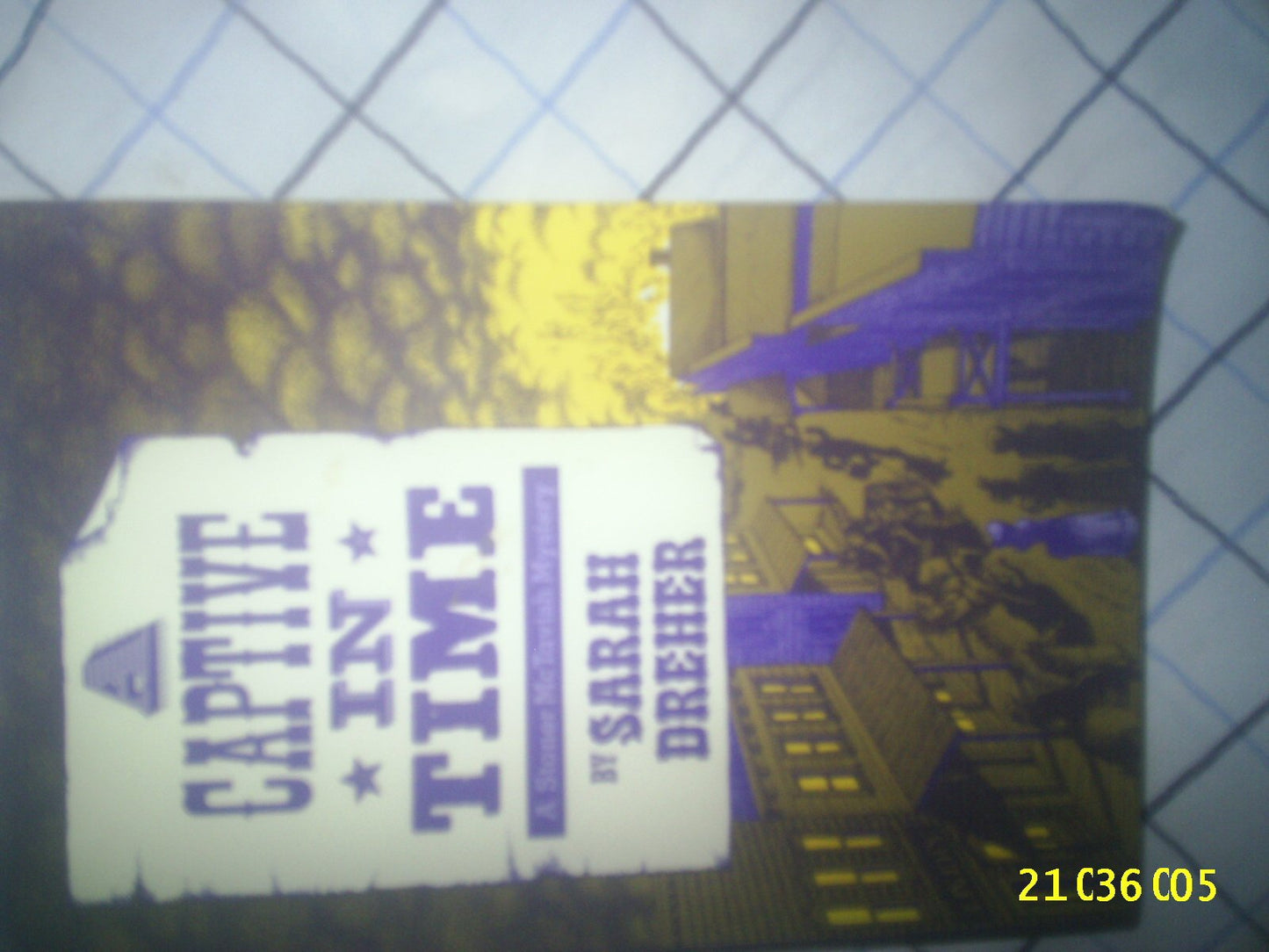 A Captive in Time (The Fourth Stoner McTavish Mystery)