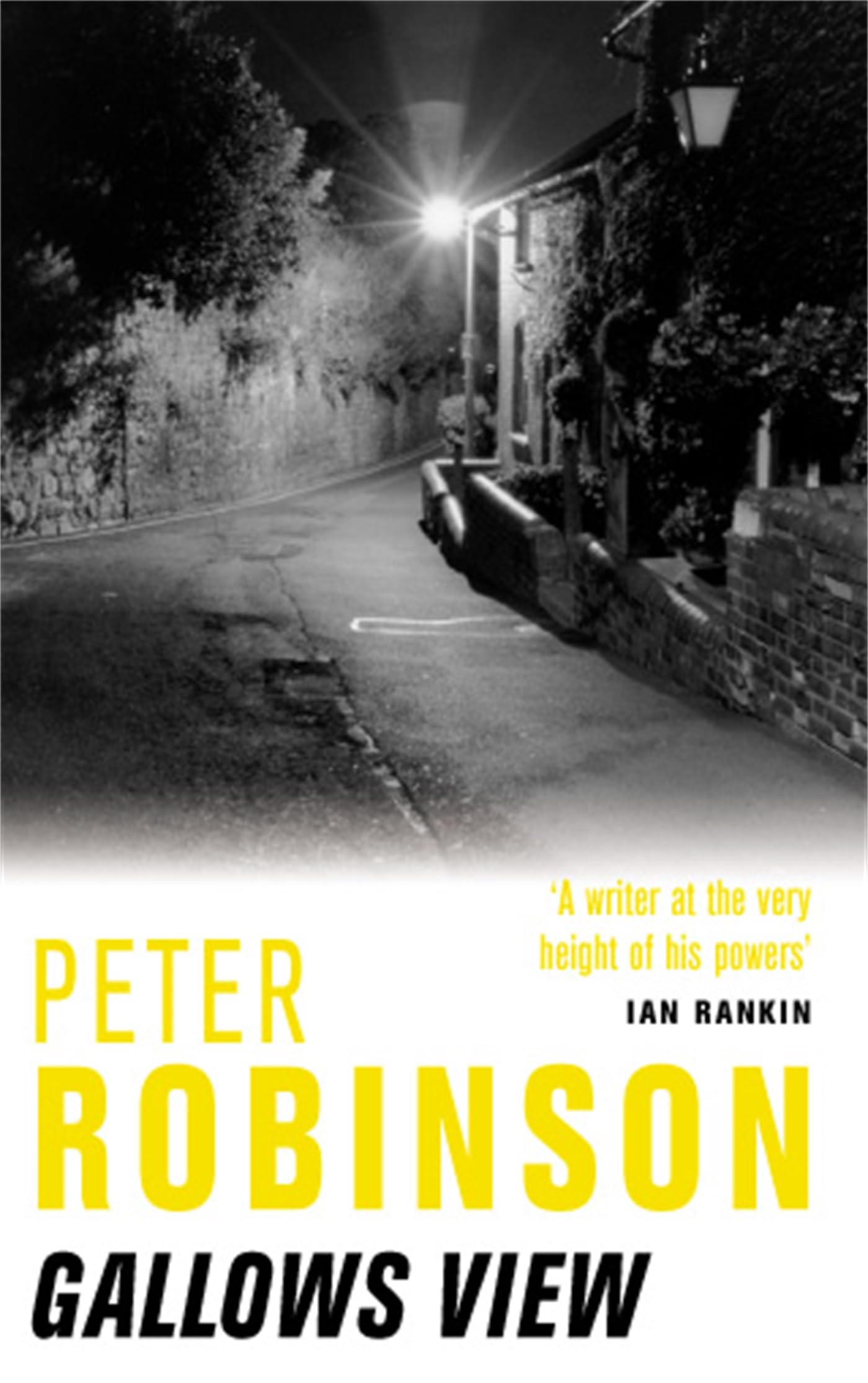Gallows View: The first novel in the number one bestselling Inspector Banks series Robinson, Peter