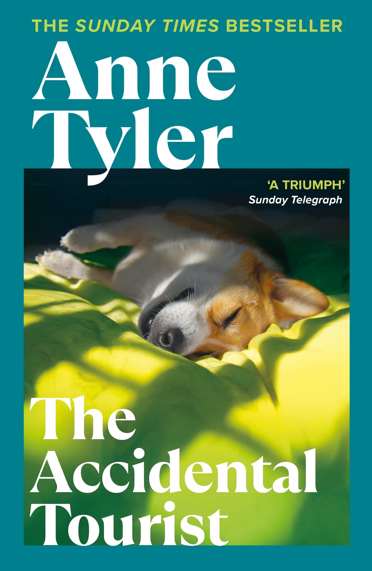 The Accidental Tourist [Paperback] Tyler, Anne
