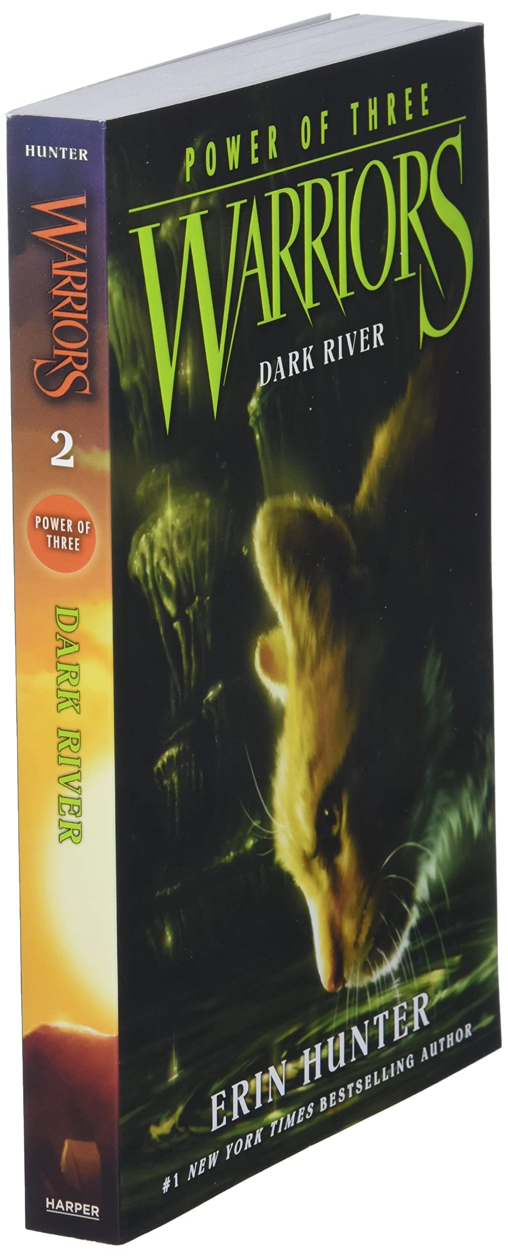 Warriors: Power of Three #2: Dark River