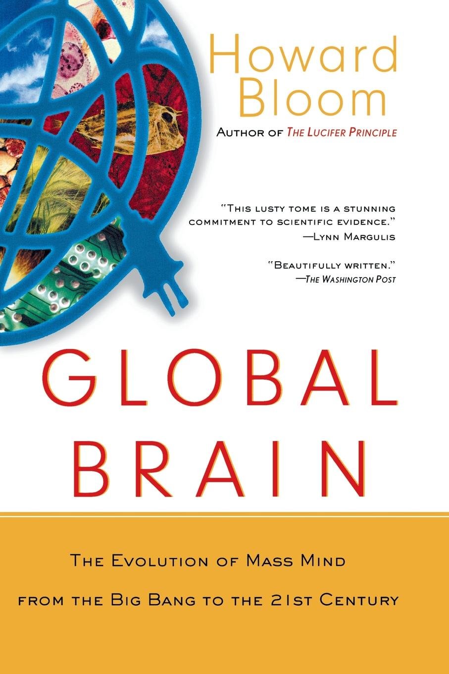 Global Brain: The Evolution of Mass Mind from the Big Bang to the 21st Century: The Evolution of the Mass Mind from the Big Bang to the 21st Century