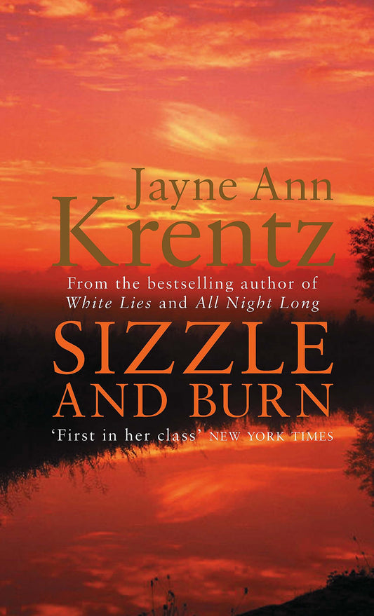 Sizzle And Burn: Number 3 in series [Paperback] Krentz, Jayne Ann