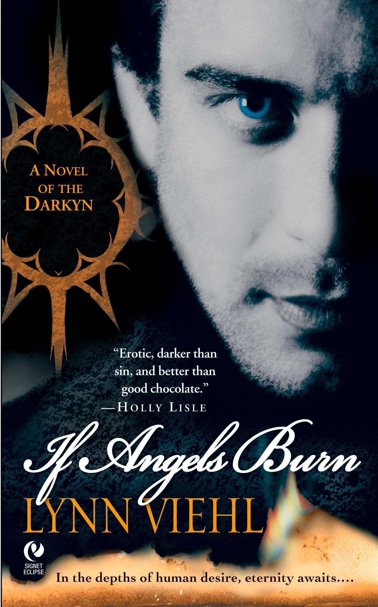 If Angels Burn: Darkyn Book 1: A Novel of the Darkyn [Mass Market Paperback] Viehl, Lynn