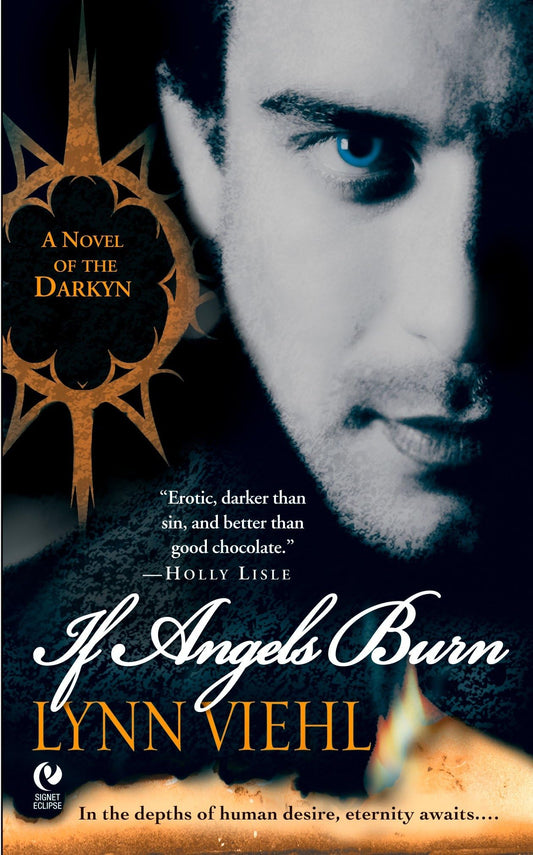 If Angels Burn: Darkyn Book 1: A Novel of the Darkyn [Mass Market Paperback] Viehl, Lynn