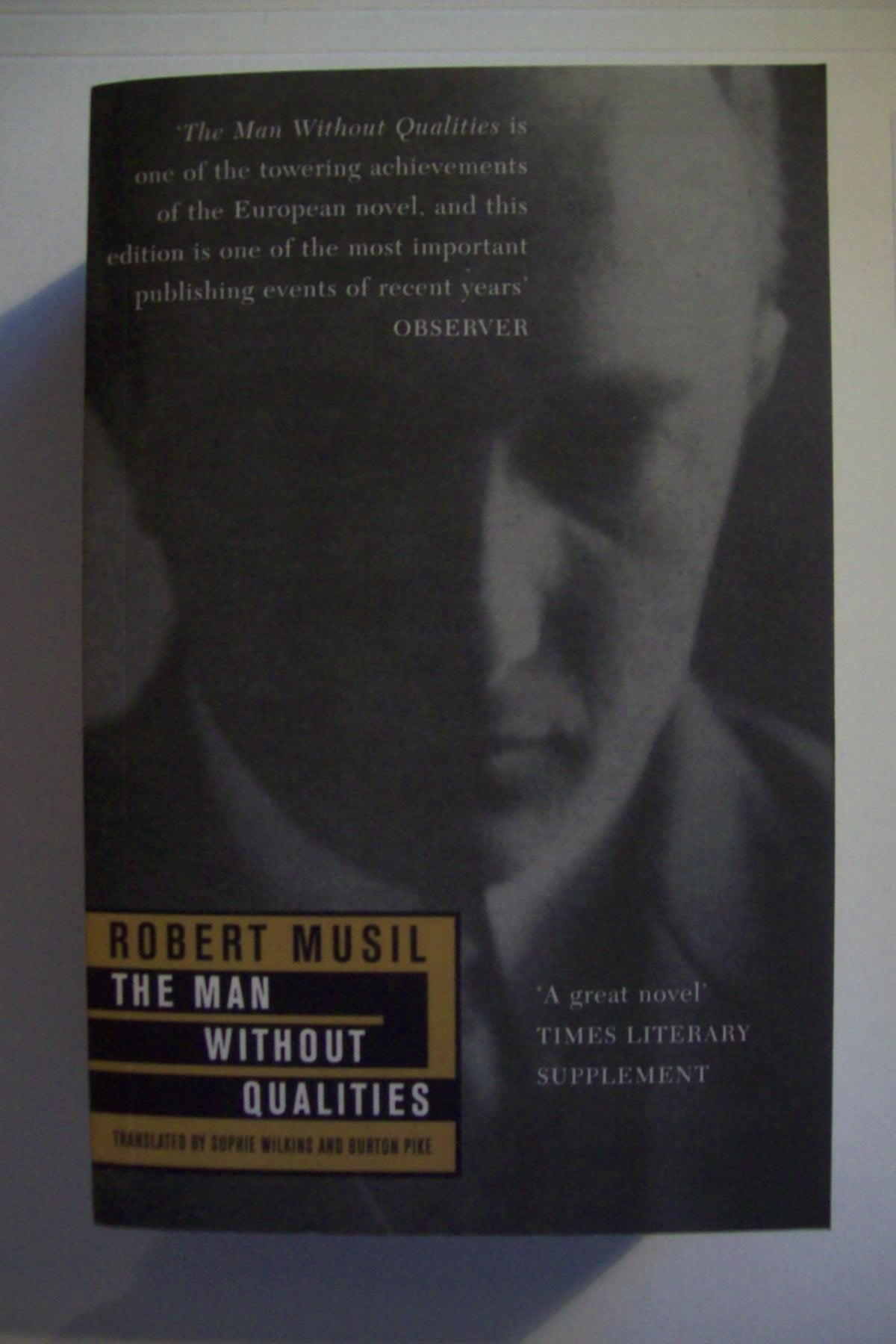 Man Without Qualities Musil, Robert; Wilkins, Sophie and Pike, Burton