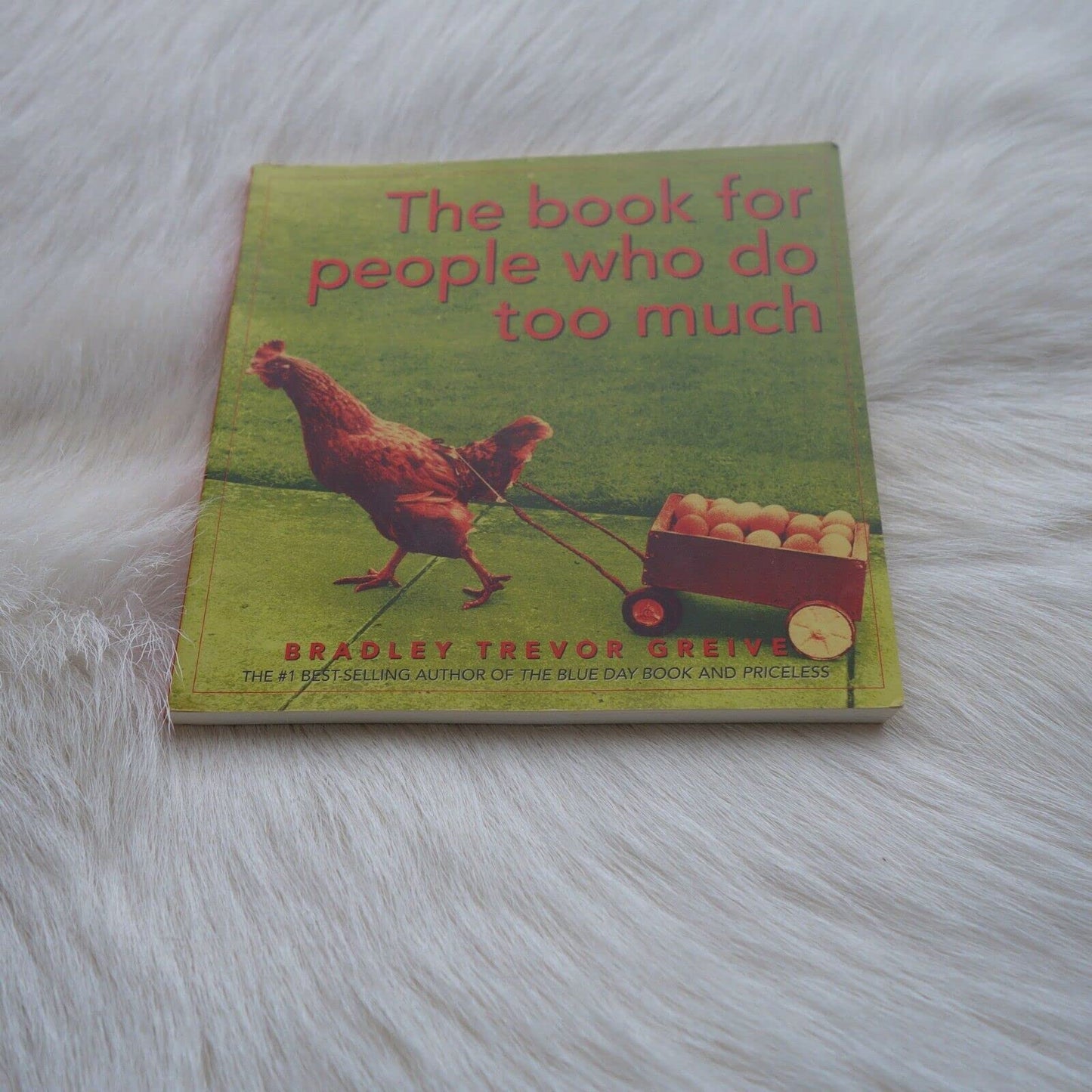 THE BOOK FOR PEOPLE WHO DO TOO MUCH [Paperback]