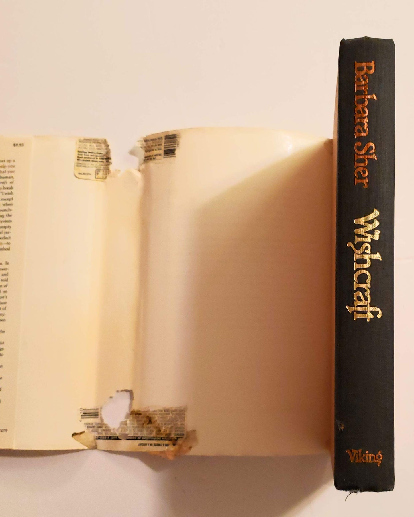 Wishcraft: How to Get What You Really Want Sher, Barbara and Gottlieb, Annie