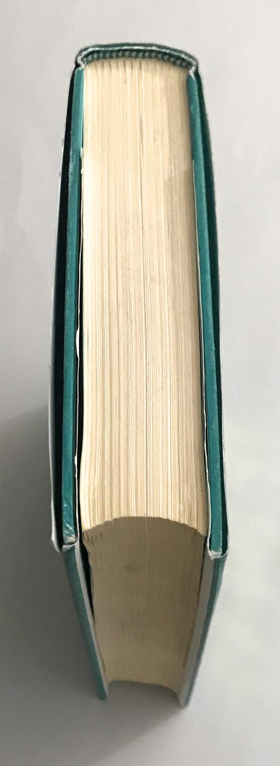JESUS THE MAN, a new interpretation from the Dead Sea Scrolls [Hardcover]