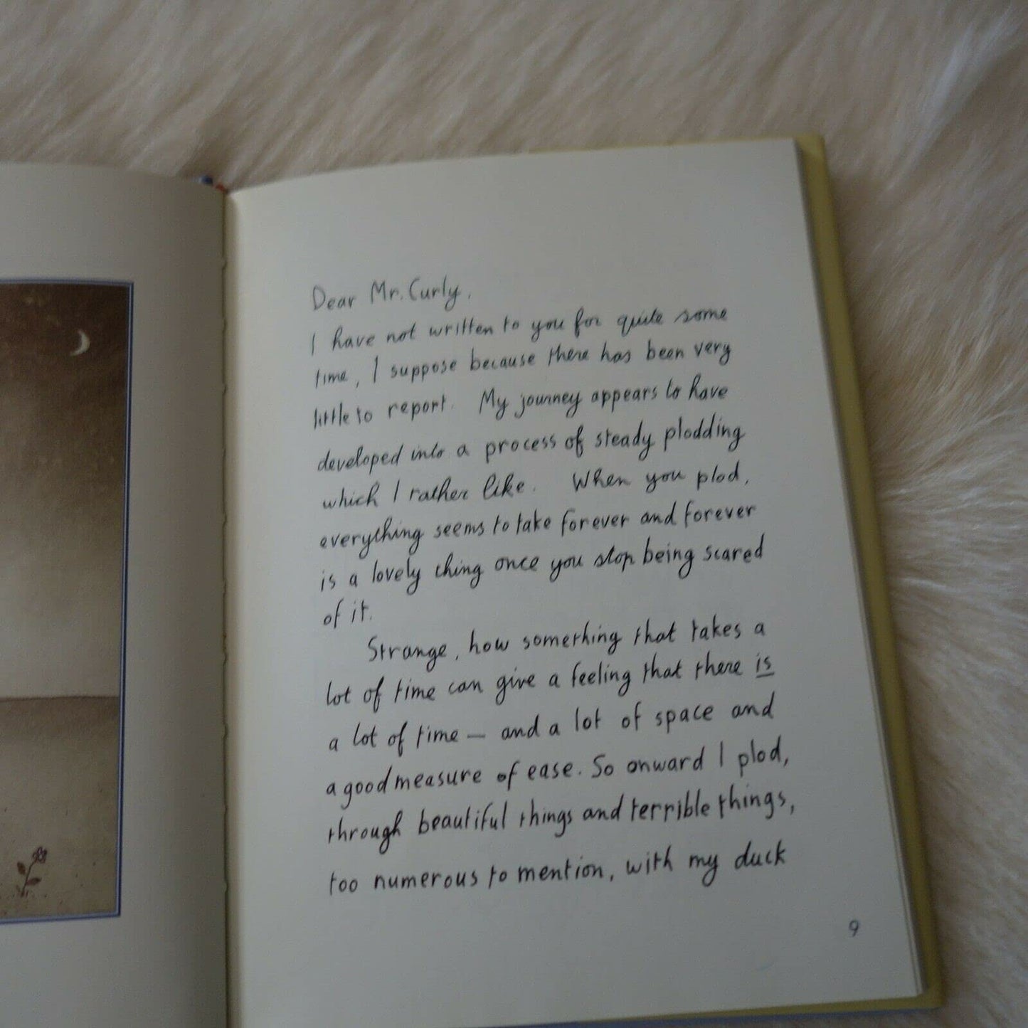 The Curly Pyjama Letters [Hardcover] Leunig, Michael