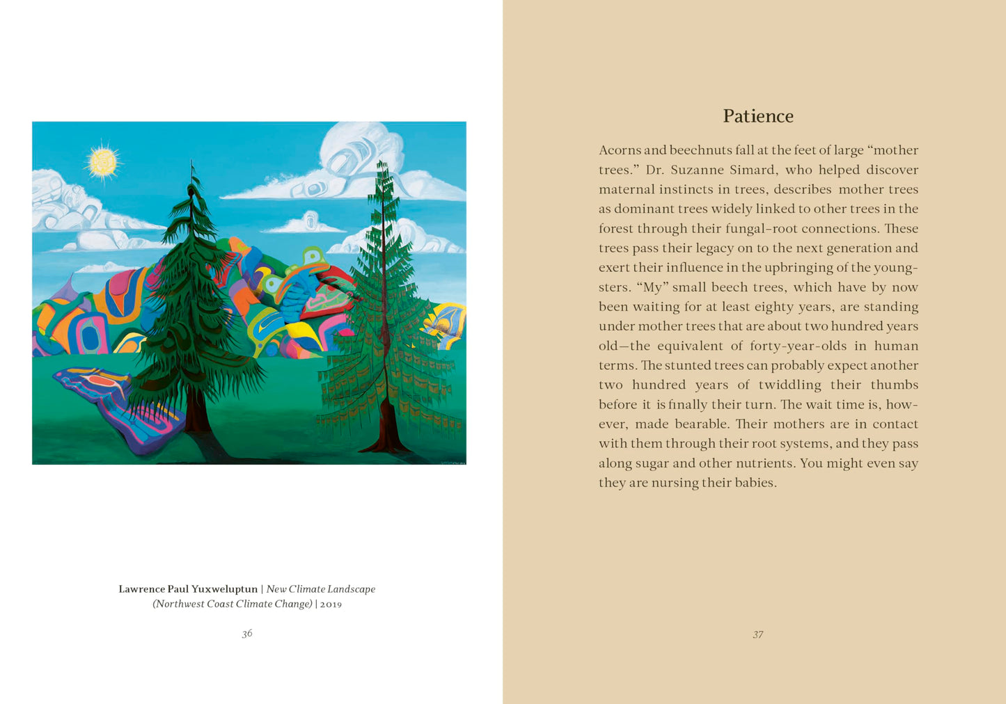 Wisdom from the Hidden Life of Trees