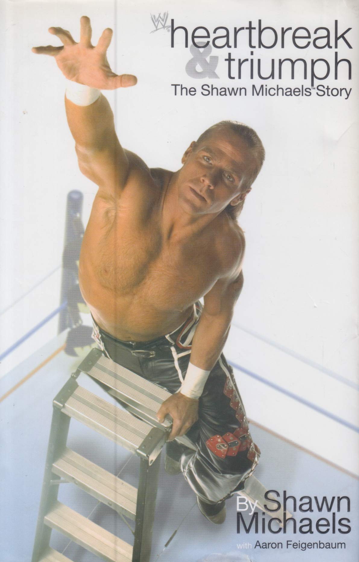 Heartbreak and Triumph: The Shawn Michaels Story