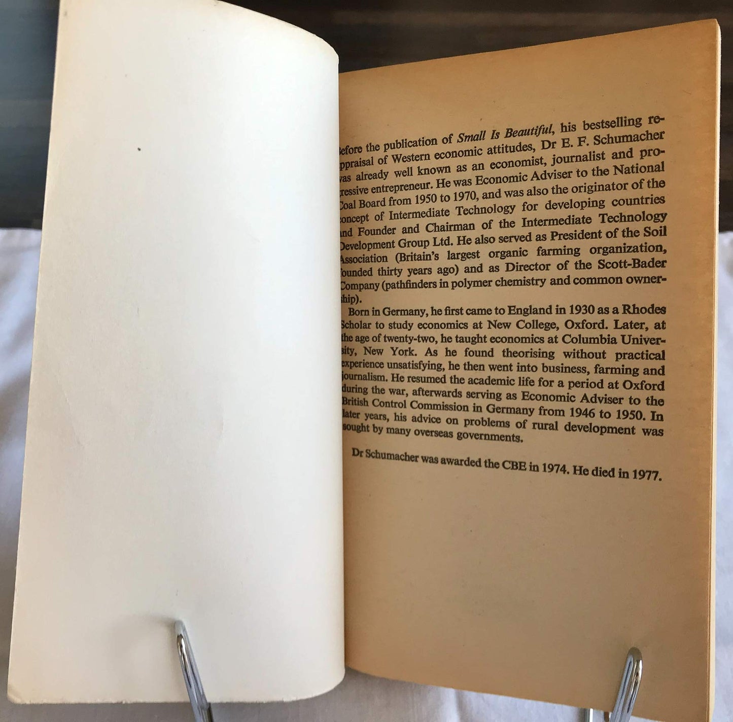 small is beautiful: economics as if people mattered [Paperback]