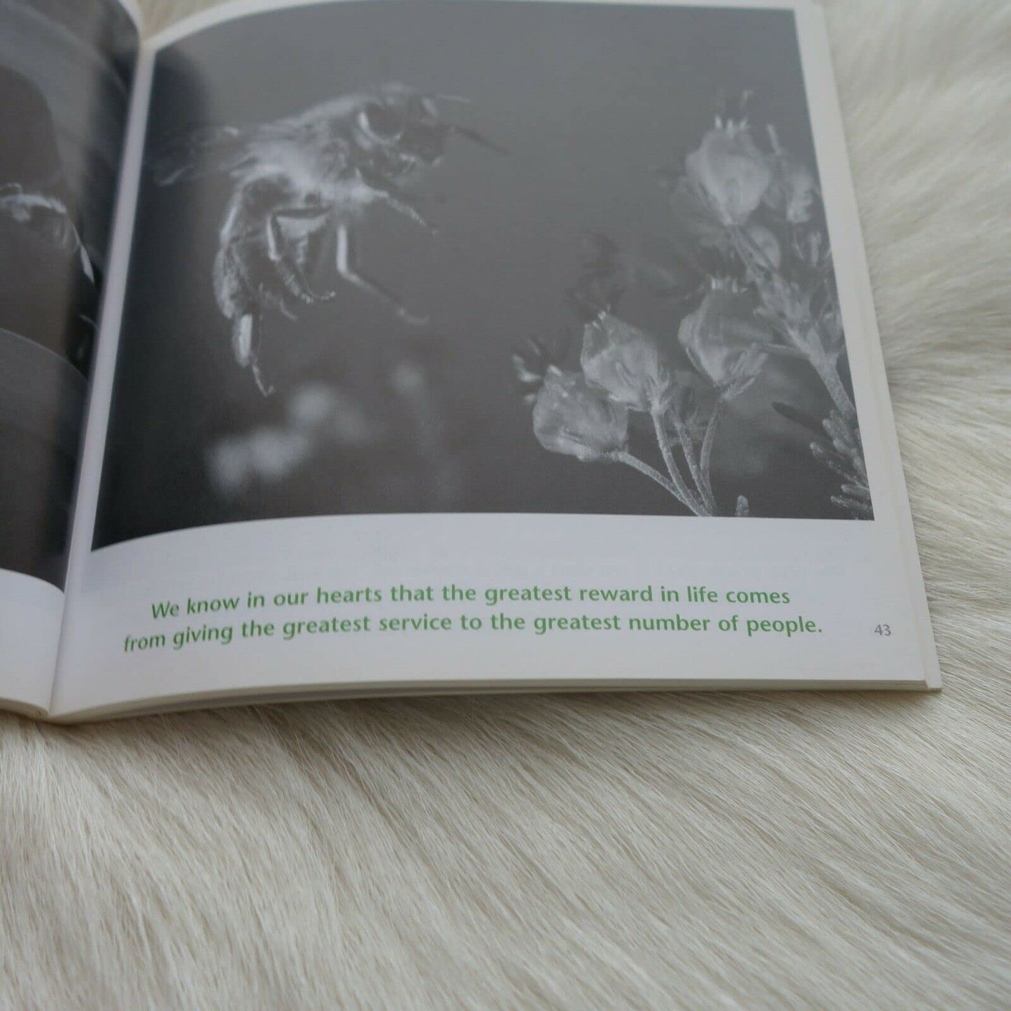 THE BOOK FOR PEOPLE WHO DO TOO MUCH [Paperback]