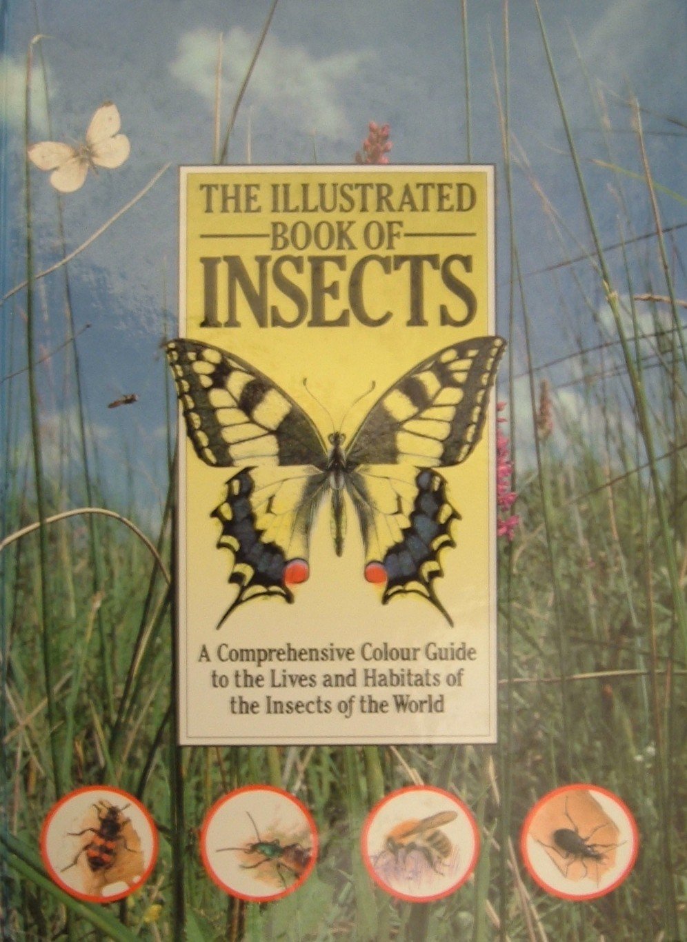 Illustrated Book of Insects Zahradnik, Jiri