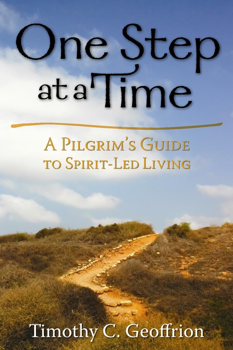 One Step at a Time: A Pilgrim's Guide to Spirit-Led Living [Paperback] Timothy C. Geoffrion
