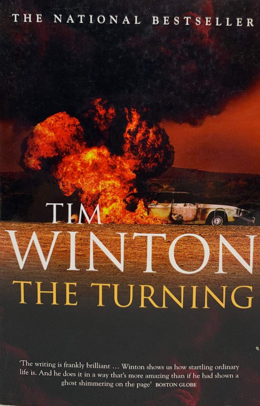 The Turning [Paperback]