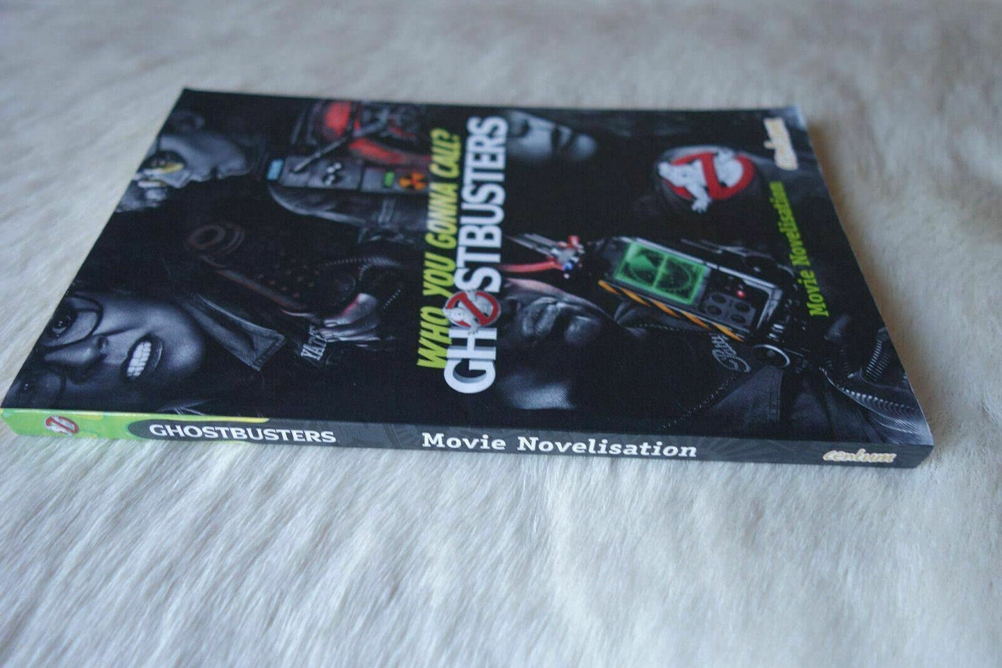 Ghostbusters Movie Novelisation [Paperback]