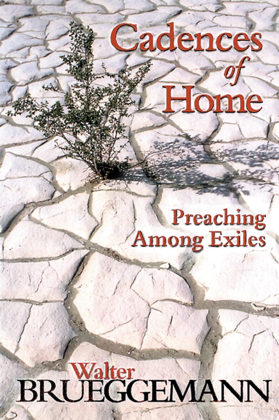 Cadences of Home: Preaching Among Exiles [Paperback] Brueggemann, Walter