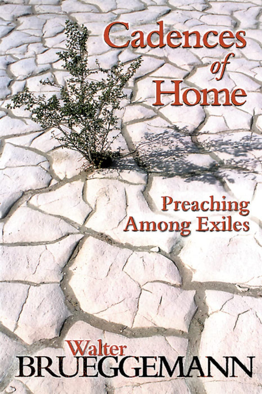 Cadences of Home: Preaching Among Exiles [Paperback] Brueggemann, Walter
