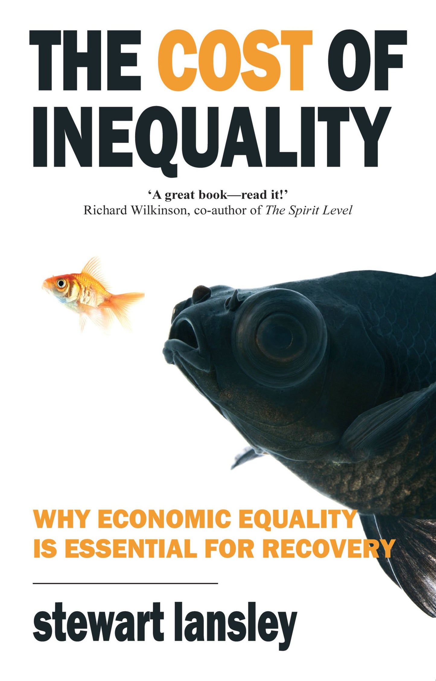 The Cost of Inequality: Why Economic Equality is Essential for Recovery [Paperback] Lansley