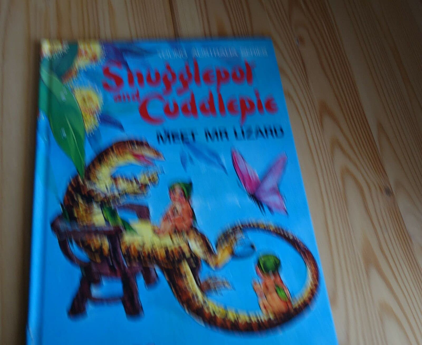 Snugglepot Meets Mr Lizard Willis, Anne-Marie; Gibbs, May and Young, Noela