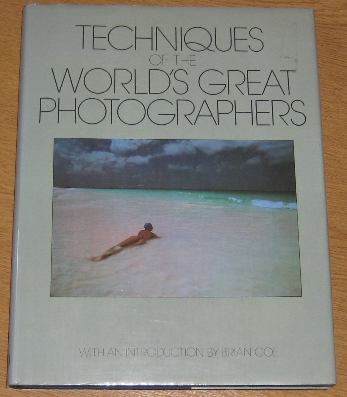 Techniques of the World's Great Photographers Garner, Philippe