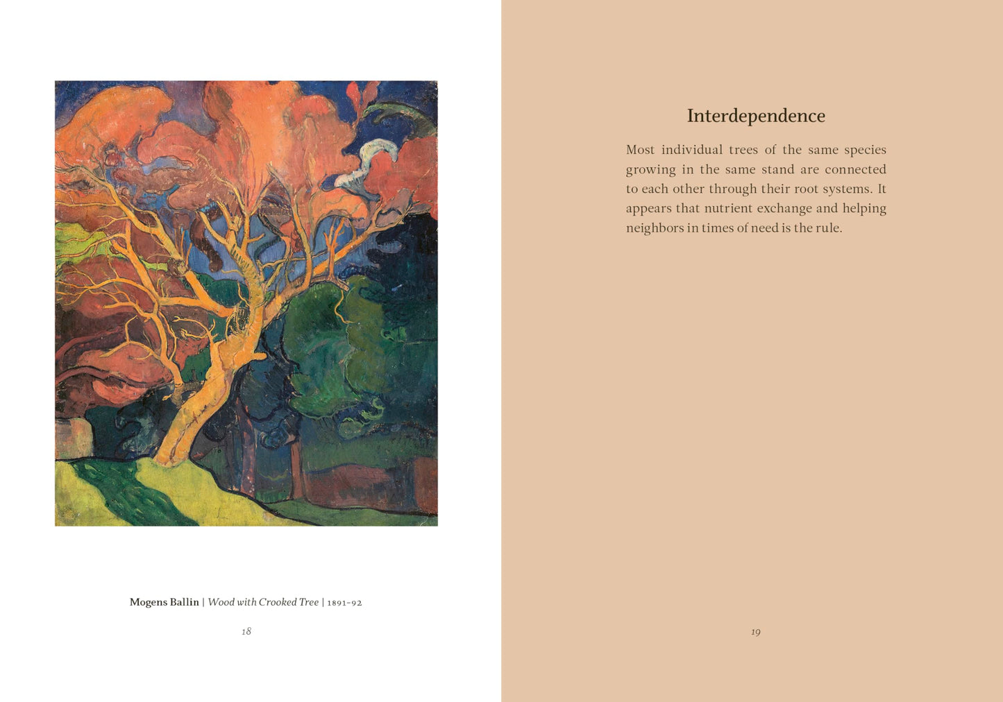 Wisdom from the Hidden Life of Trees