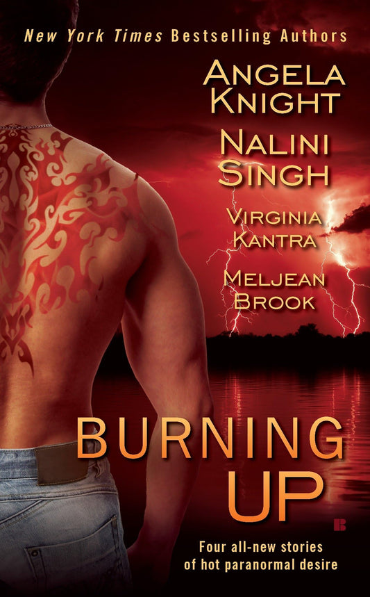 Burning Up: Four all-new stories of hot paranormal desire [Mass Market Paperback] Knight, Angela