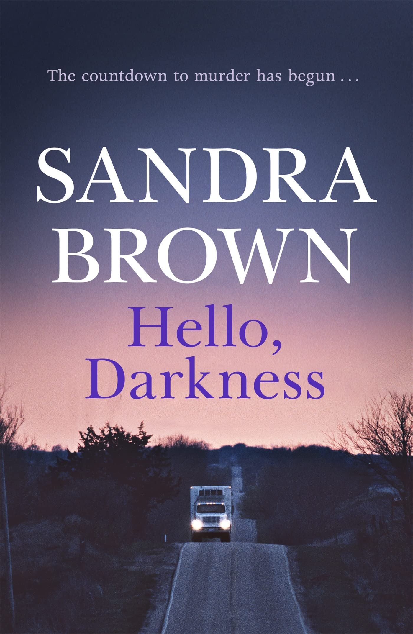Hello, Darkness: The gripping thriller from #1 New York Times bestseller