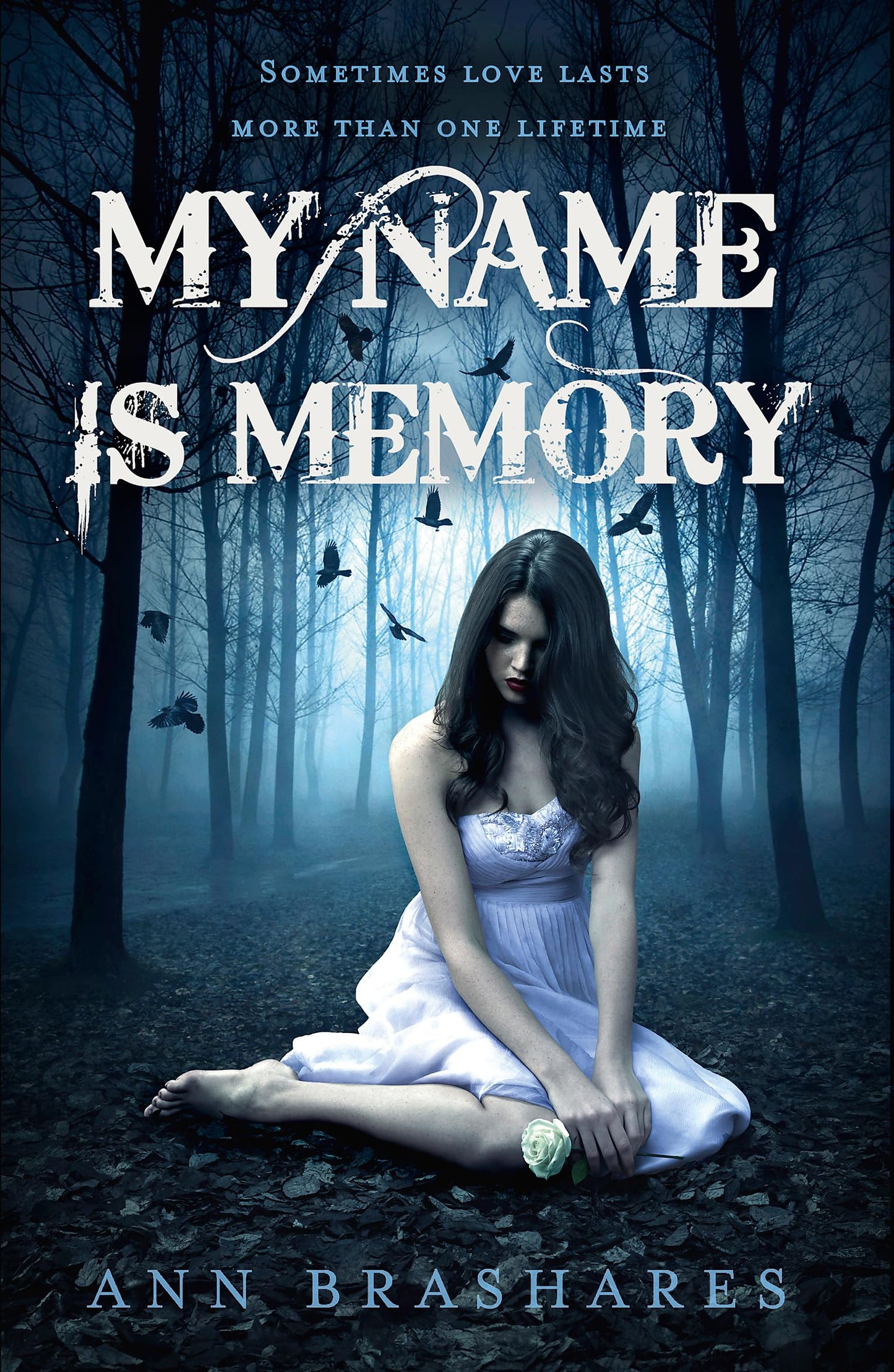 My Name Is Memory [Paperback] Brashares, Ann