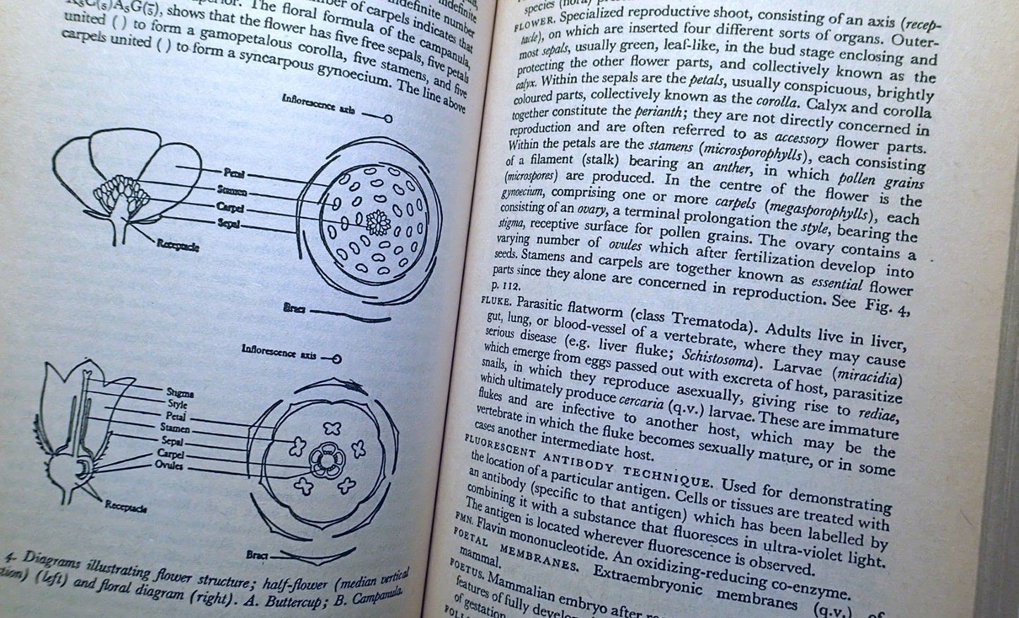 The Penguin Dictionary of Biology: 7th Ed.
