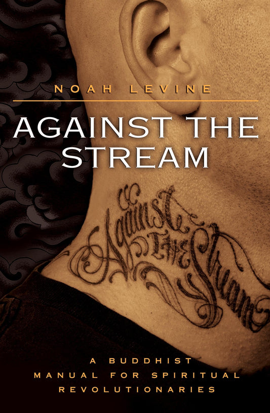 Against the Stream: A Buddhist Manual for Spiritual Revolutionaries [Paperback] Levine, Noah