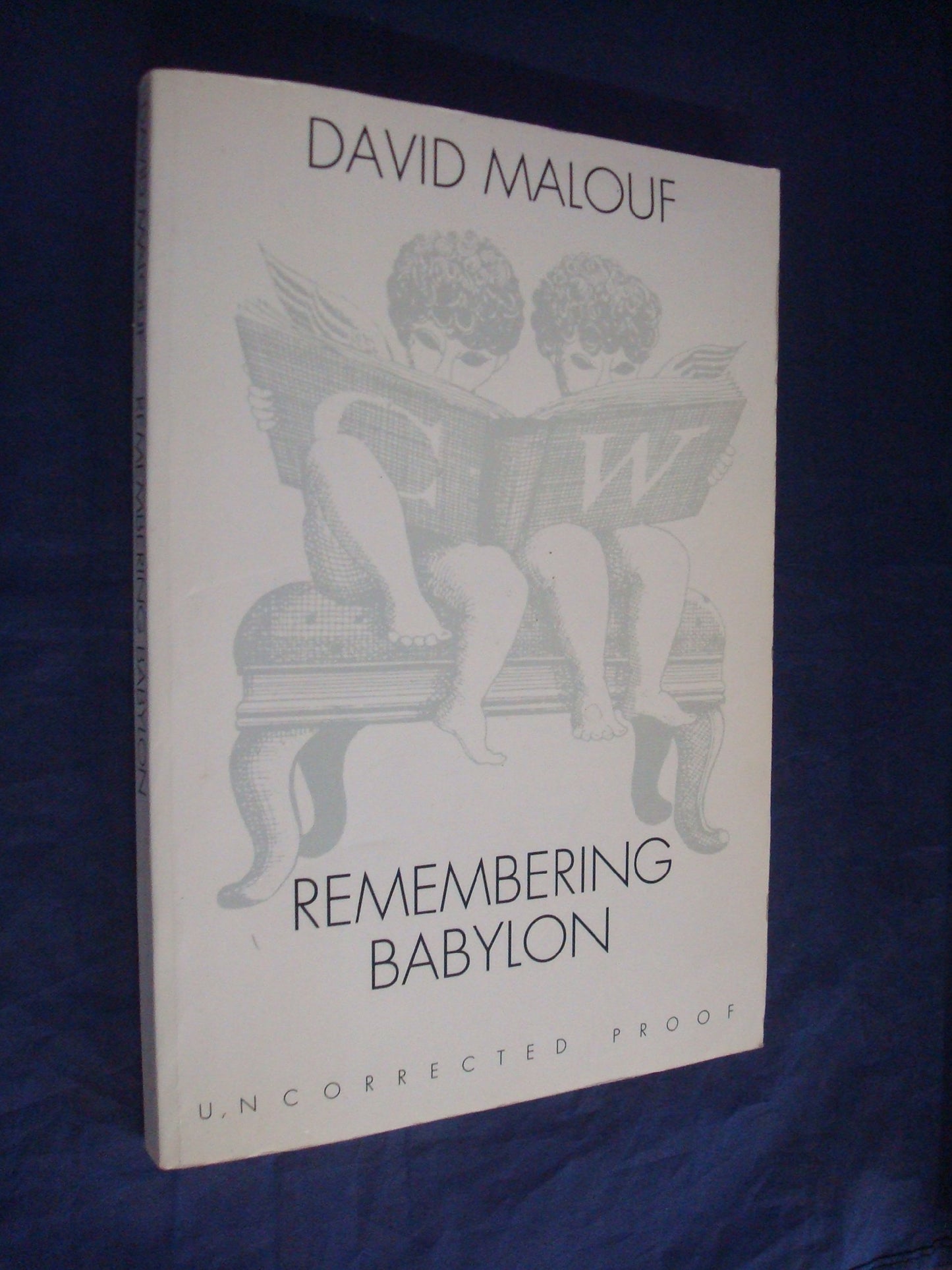 Remembering Babylon [Paperback]