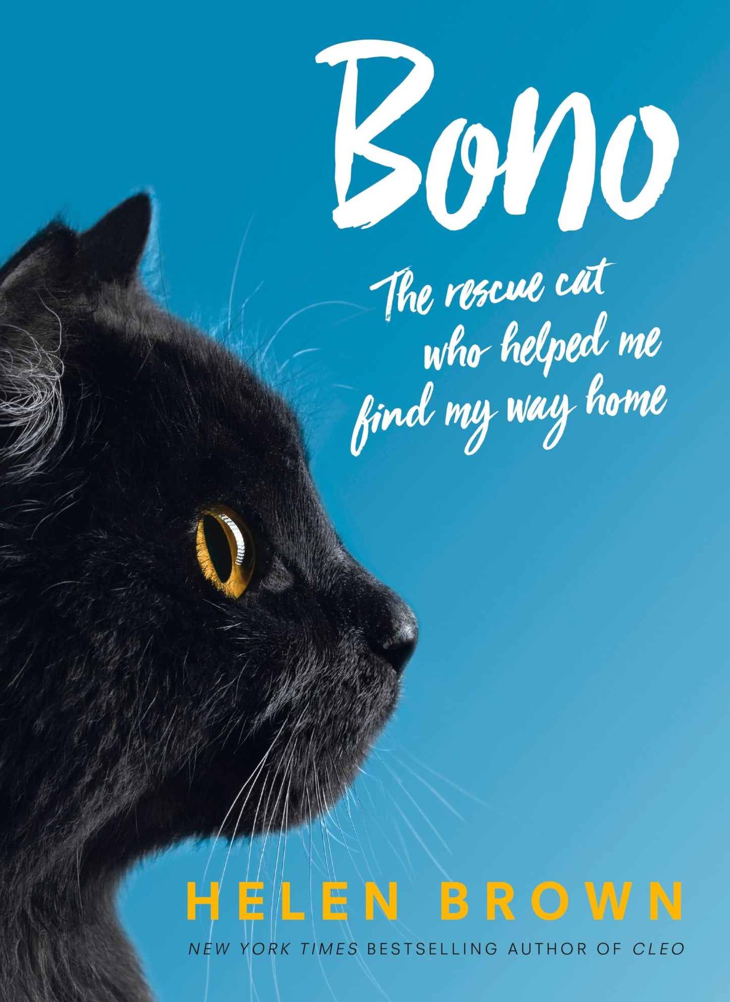 Bono: the rescue cat who helped me find my way home [Paperback] Brown, Helen