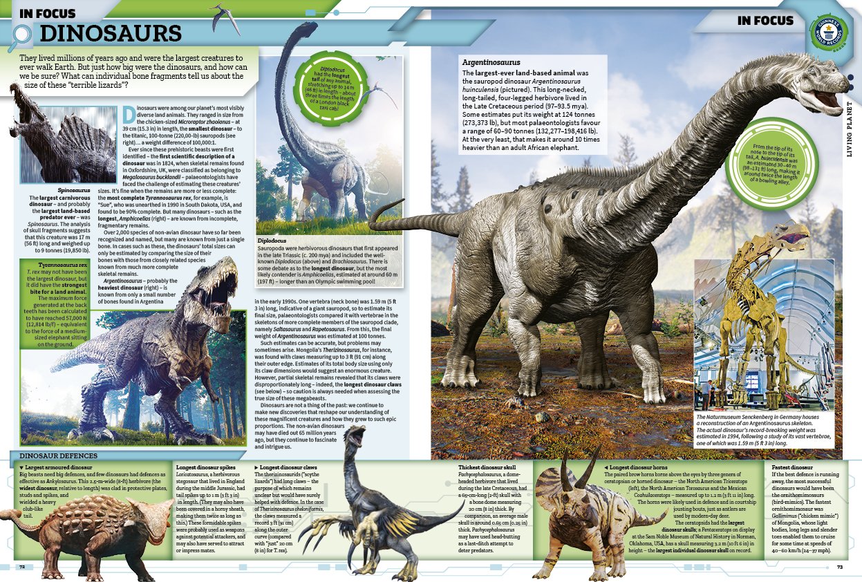 Guinness World Records 2019 [Hardcover] World Records, Guinness