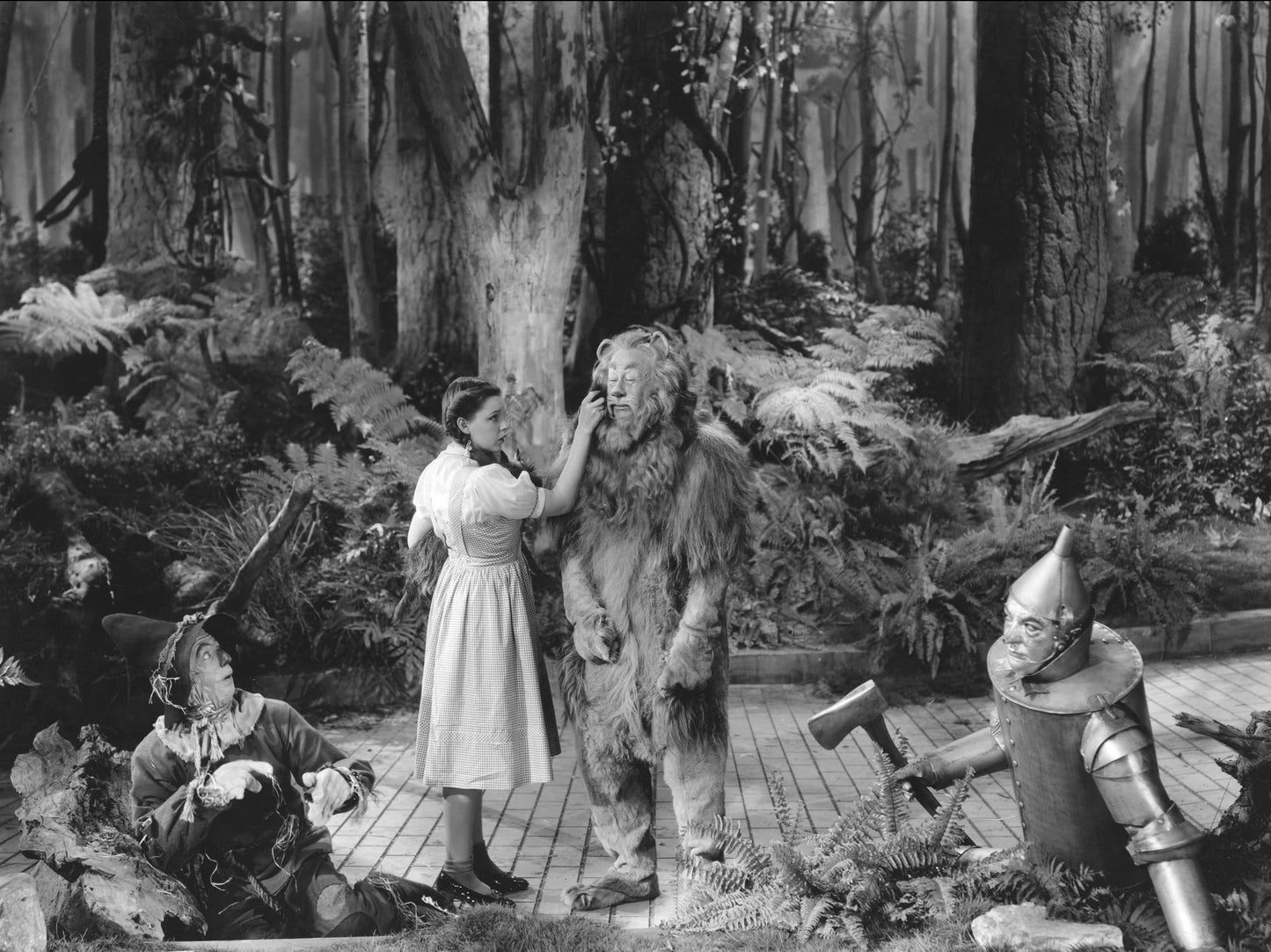 Wizard of Oz 75th Annv (DVD) [DVD]