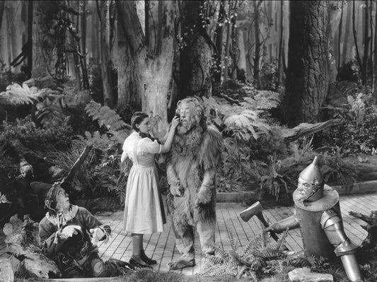 Wizard of Oz 75th Annv (DVD) [DVD]